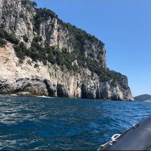 Meet your Posher, Violet